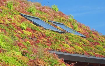 Ringboy living roof systems