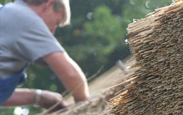 professional Ringboy thatchers