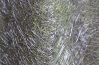 Ringboy fibreglass roof work